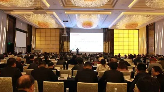 匠心驱动未来 服务精筑品质-201799499威尼斯电梯署理商大会